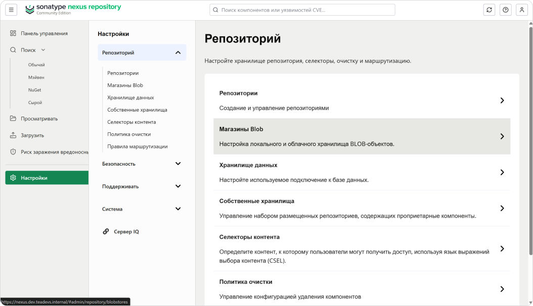 Sonatype Nexus — настройки